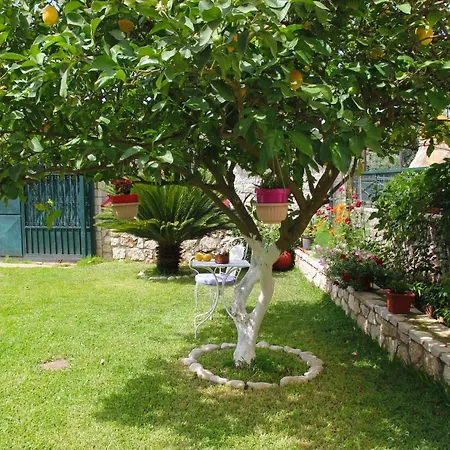 Dimitra 니키아나