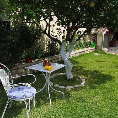 Dimitra 니키아나