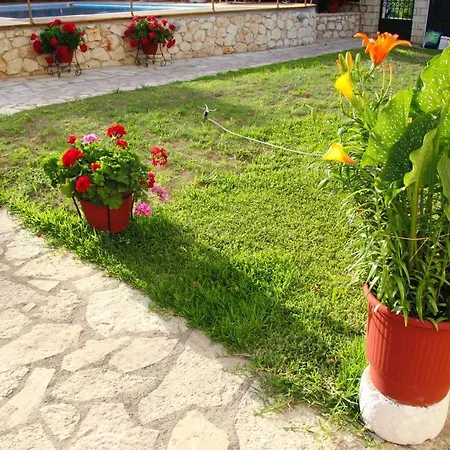 Dimitra 니키아나