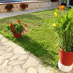 Dimitra Nikiana