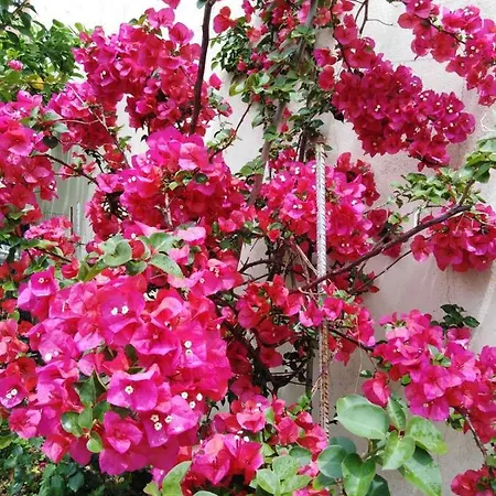 Holiday home Dimitra