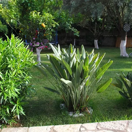 Dimitra Никиана