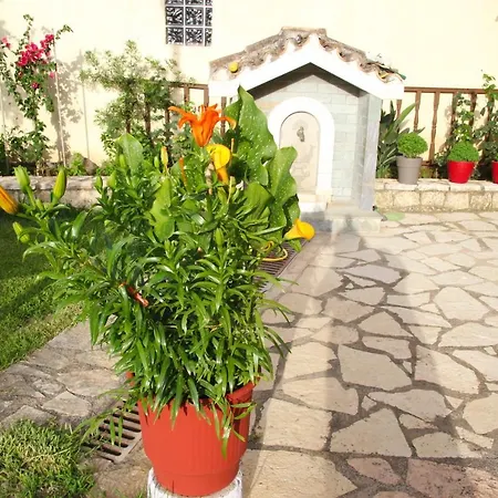 Dimitra 別荘 ニキアナ