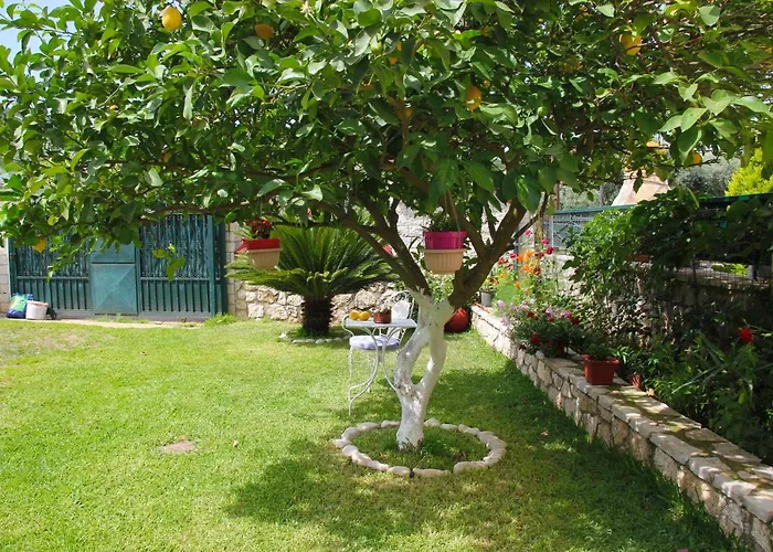 Dimitra Никиана